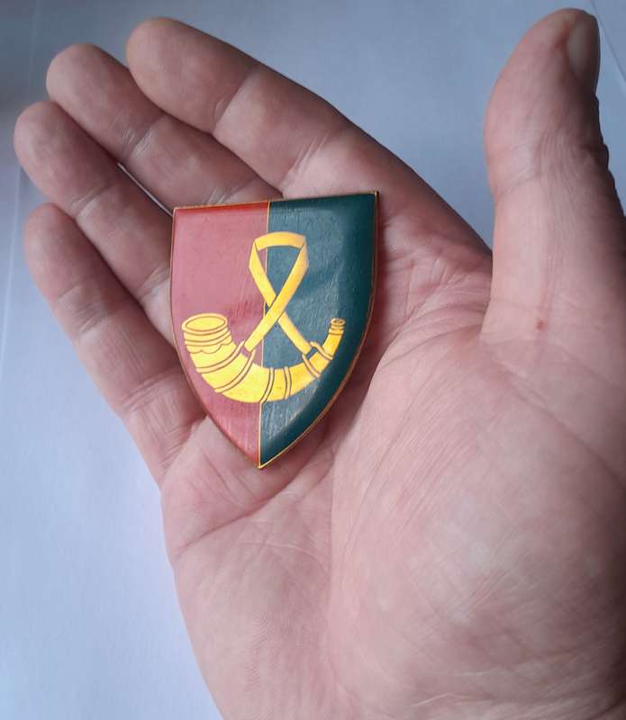 SADF OFS Command Workshop Shoulder Flash.  All Pins Intact.