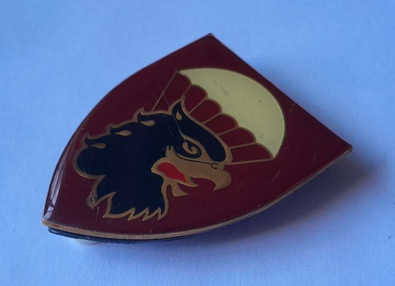 SADF 44 Parachute Brigade Shoulder Flash.  All Pins Intact.