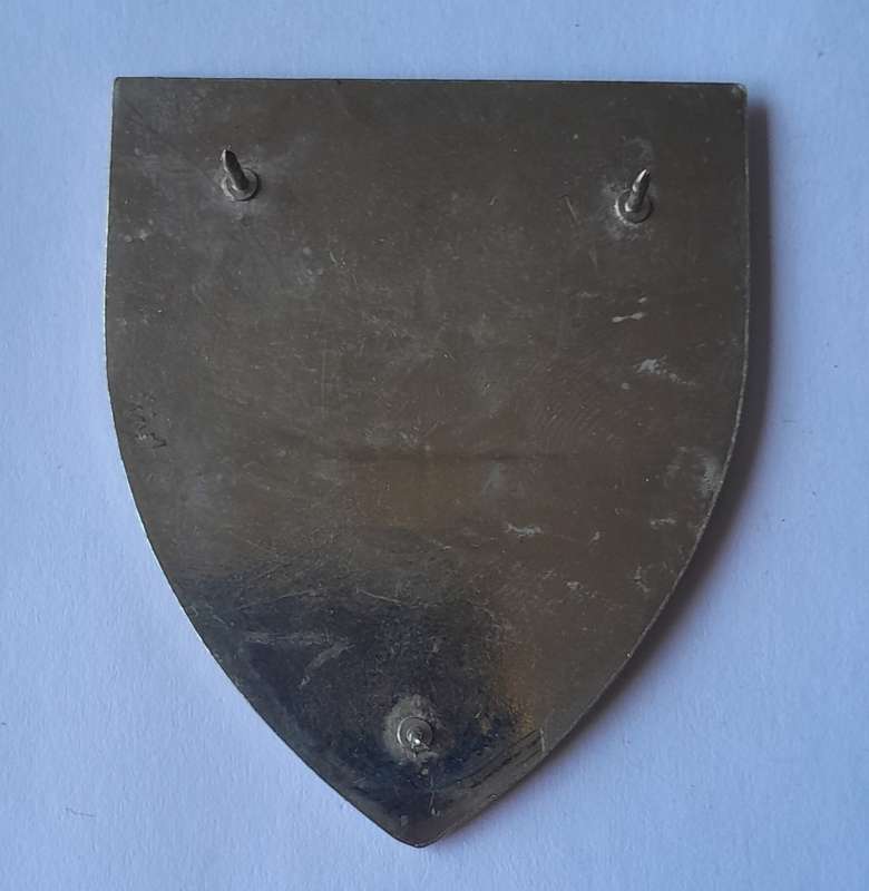 SADF School of Armour Shoulder Flash.  All Pins Intact.