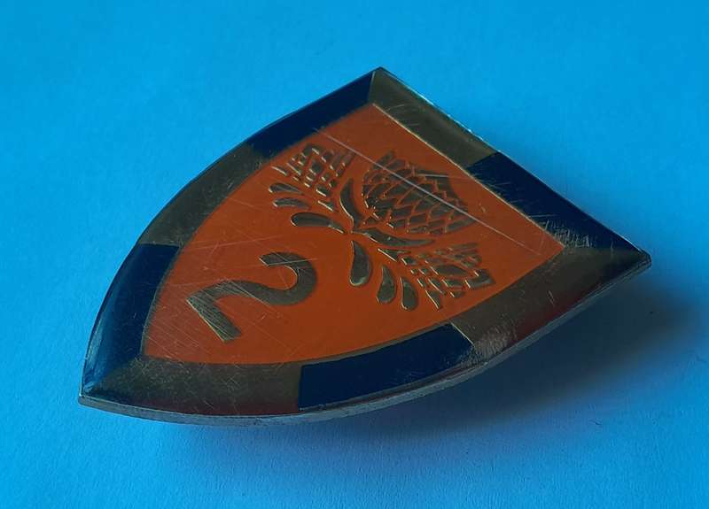 SADF 2 Special Service Battalion Shoulder Flash.  All Pins Intact.