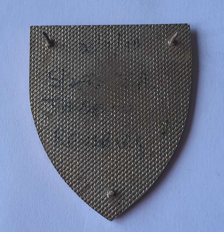 SADF 2 Special Service Battalion Shoulder Flash.  All Pins Intact.