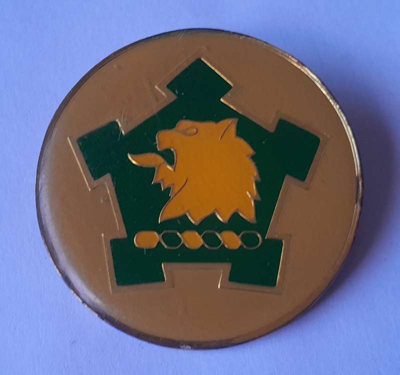 SADF Lions Head Commando Flash.  All Pins Intact.