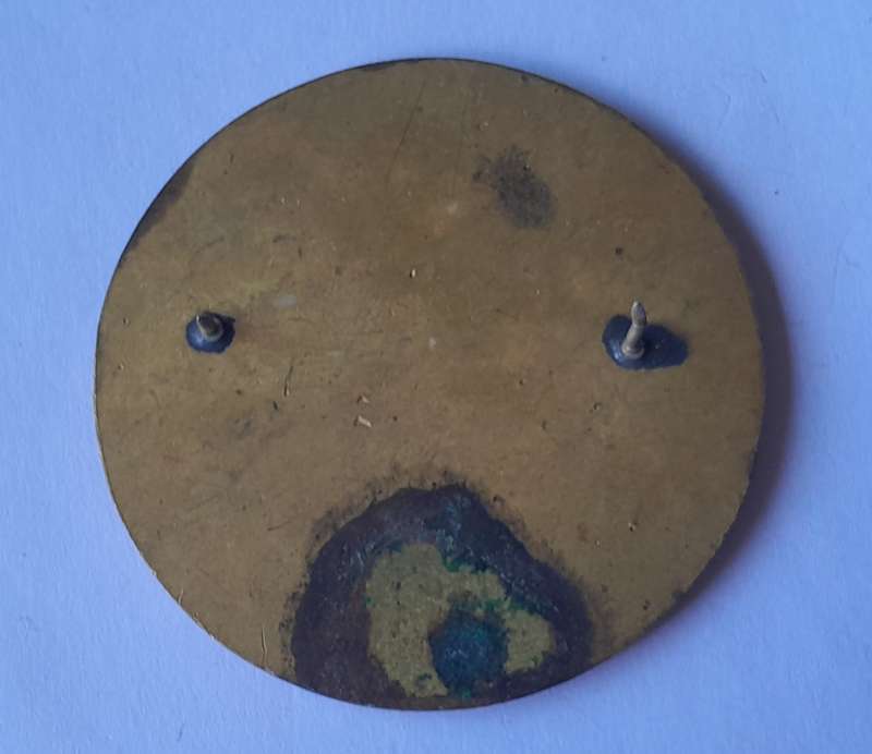 SADF Lions Head Commando Flash.  All Pins Intact.
