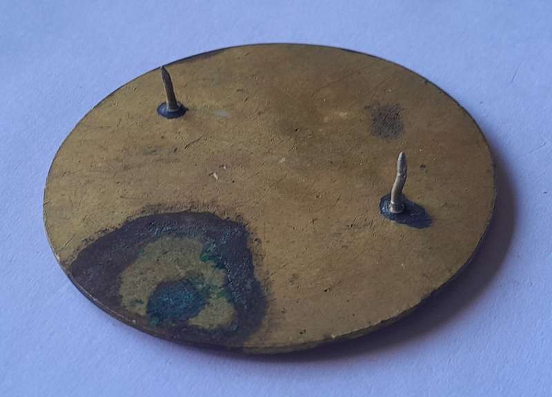 SADF Lions Head Commando Flash.  All Pins Intact.