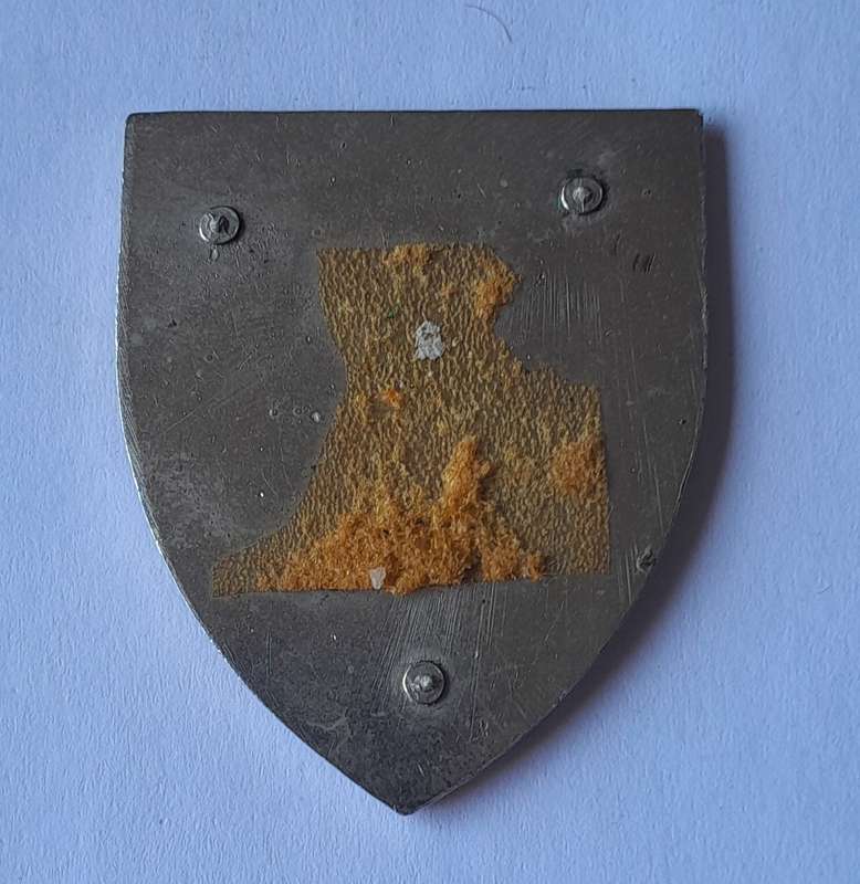 SWATF 1 SWA Engineer Regiment Pocket Fob Flash.  No Pins.
