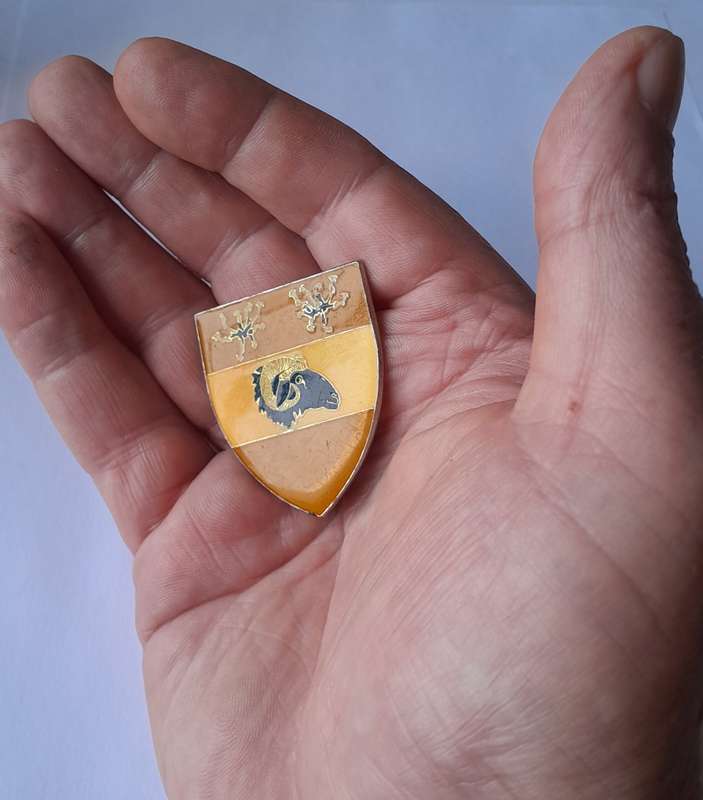 SWATF Bo-Nossob Area Force Unit Pocket Fob Flash.  All Pins Intact.