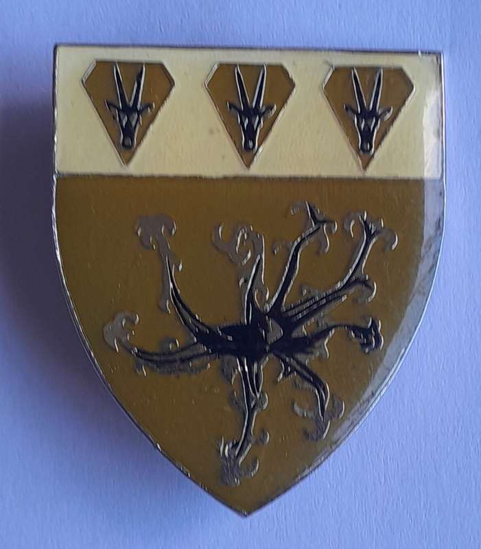 SWATF Sector 50 Headquarters Pocket Fob Flash.  2 Pins Intact.