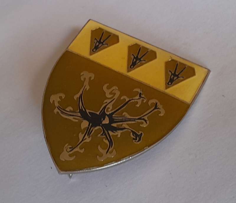 SWATF Sector 50 Headquarters Pocket Fob Flash.  2 Pins Intact.
