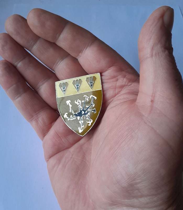 SWATF Sector 50 Headquarters Pocket Fob Flash.  2 Pins Intact.