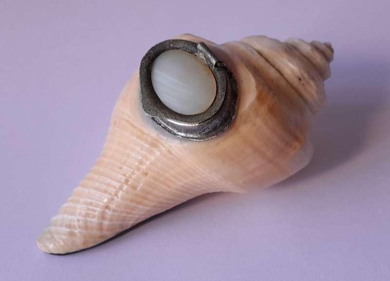 Antique Novelty Sea Shell Snuff Box With Mother Of Pearl Lid And Bakelite Base.