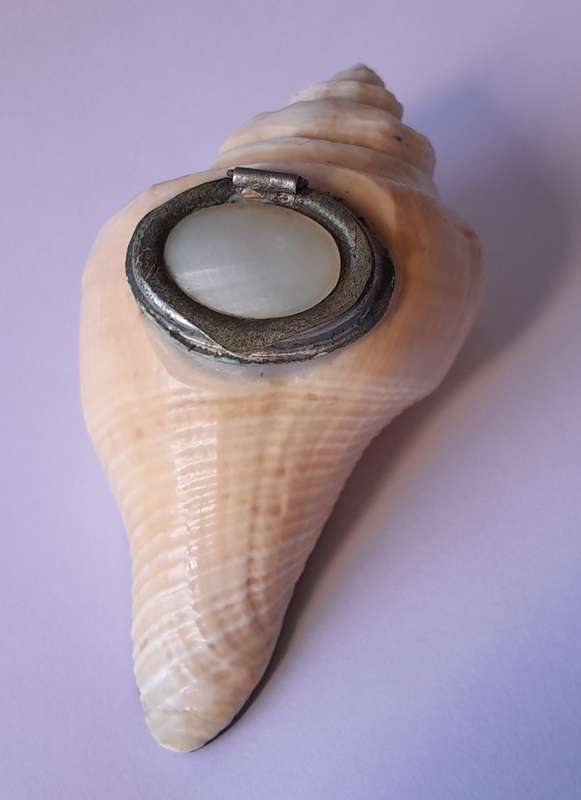 Antique Novelty Sea Shell Snuff Box With Mother Of Pearl Lid And Bakelite Base.
