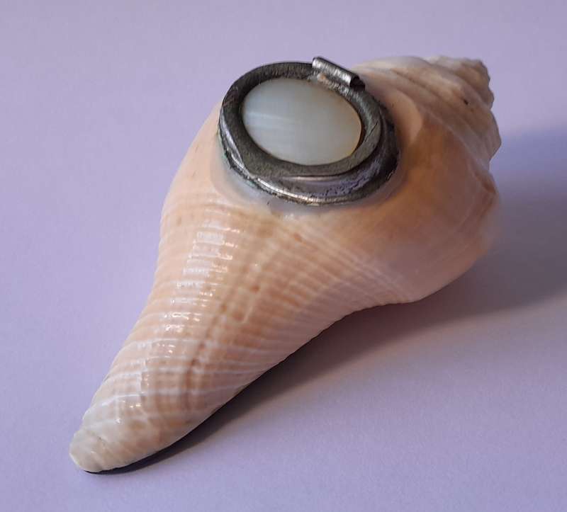 Antique Novelty Sea Shell Snuff Box With Mother Of Pearl Lid And Bakelite Base.