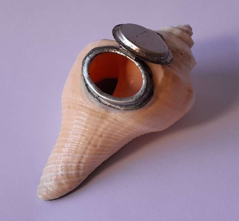 Antique Novelty Sea Shell Snuff Box With Mother Of Pearl Lid And Bakelite Base.