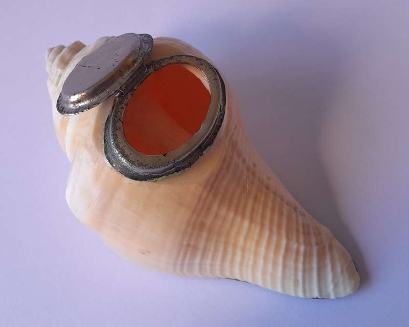Antique Novelty Sea Shell Snuff Box With Mother Of Pearl Lid And Bakelite Base.