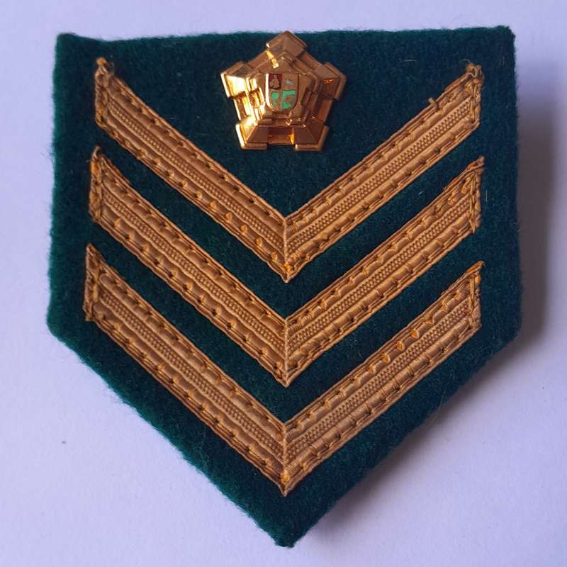Pair SA Prison Service Staff Sergeant Ranks.