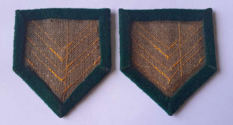 Pair SA Prison Service Sergeant Ranks.