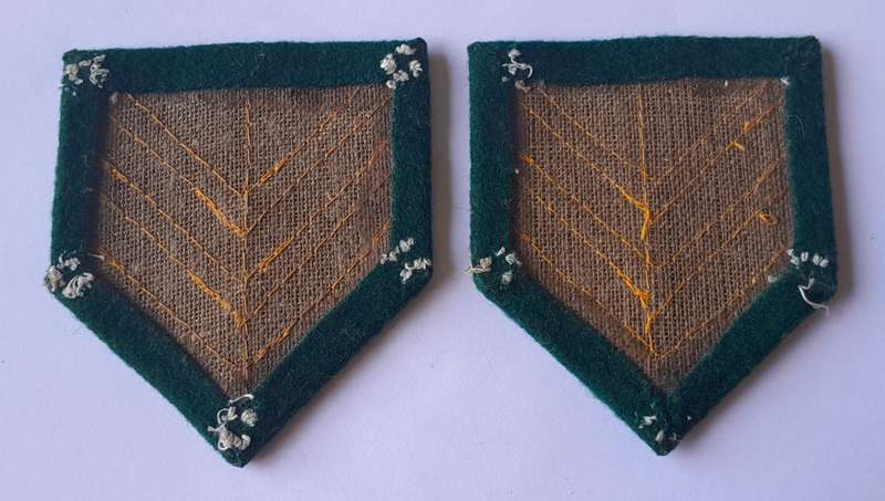 Pair SA Prison Service Sergeant Ranks.