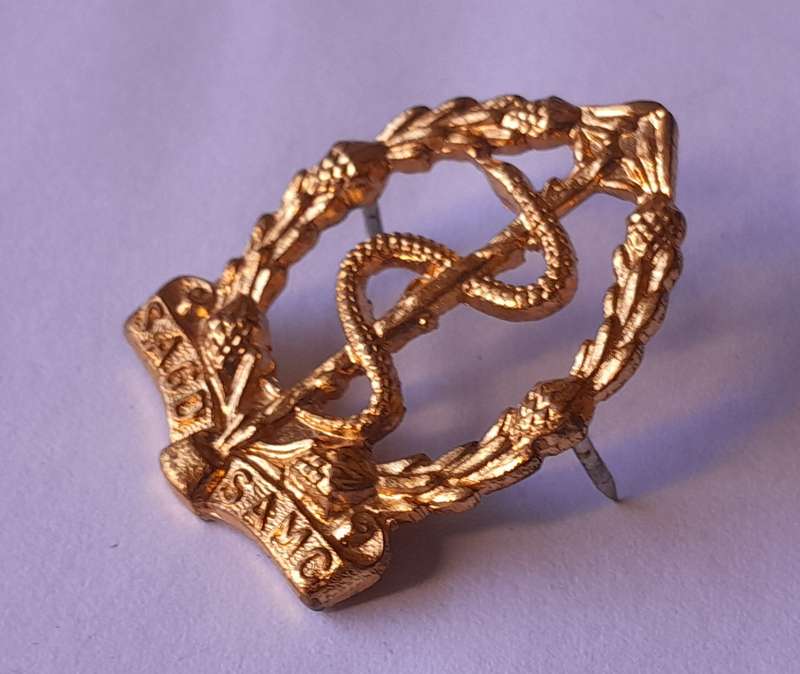 SA Medical Corps (SAMC) Badges.  Beret & Collar.  Lugs/Pins Intact.