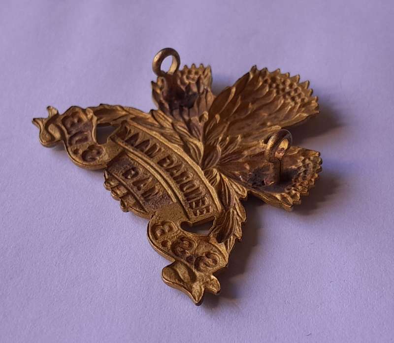 SA Army Special Service Battalion Cap Badge.  Lugs Intact.