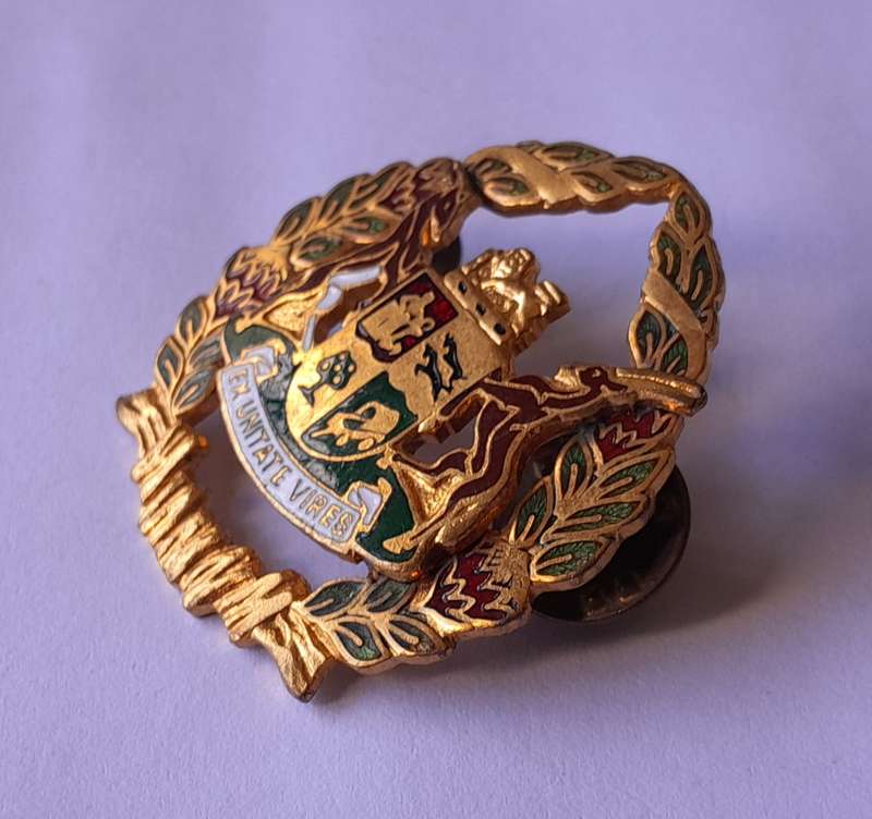 SA Prison Service Warrant Officer Cap Badge.  Gilt And Enamel. Pins Intact.
