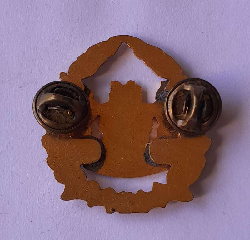 SA Prison Service Warrant Officer Cap Badge.  Gilt And Enamel. Pins Intact.