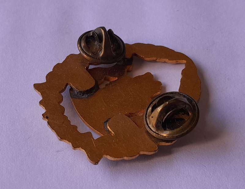 SA Prison Service Warrant Officer Cap Badge.  Gilt And Enamel. Pins Intact.