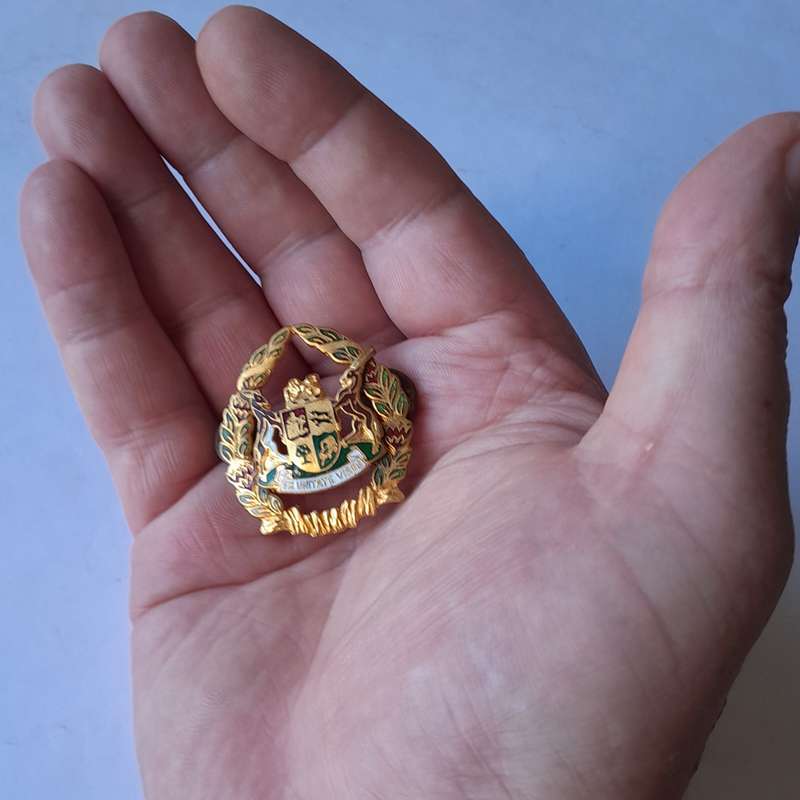 SA Prison Service Warrant Officer Cap Badge.  Gilt And Enamel. Pins Intact.