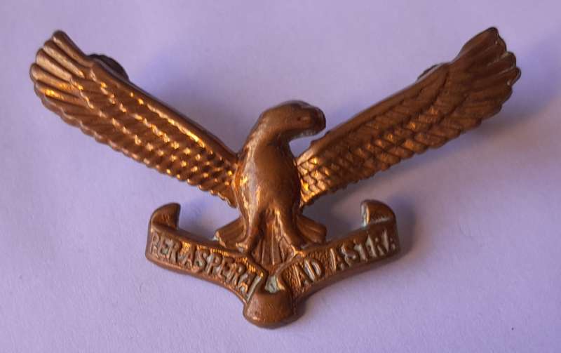 Early SA Airforce Cap Badge.  All Screw Lugs Intact.
