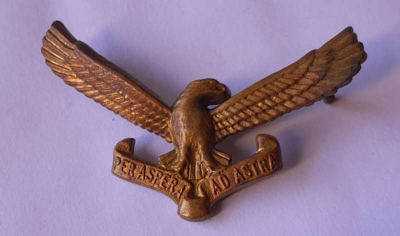 Early SA Airforce Cap Badge.  Screw Lug Intact.
