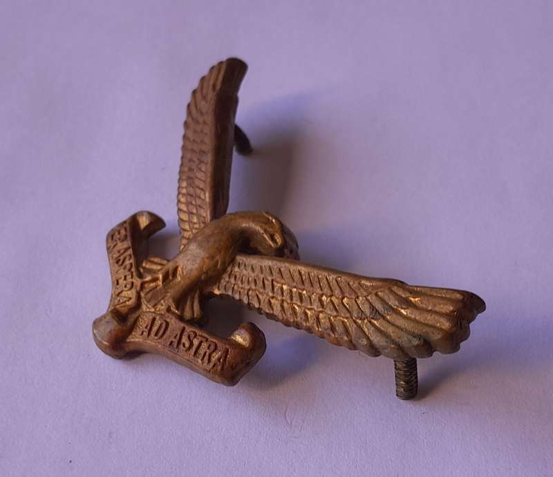 Early SA Airforce Cap Badge.  Screw Lug Intact.