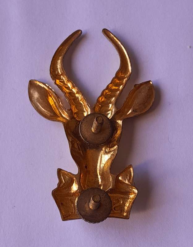 SADF South African Infantry Gilt Metal Cap Badge.  All Screw Lugs Intact.