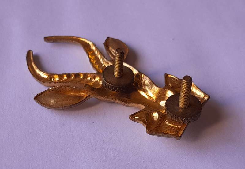 SADF South African Infantry Gilt Metal Cap Badge.  All Screw Lugs Intact.