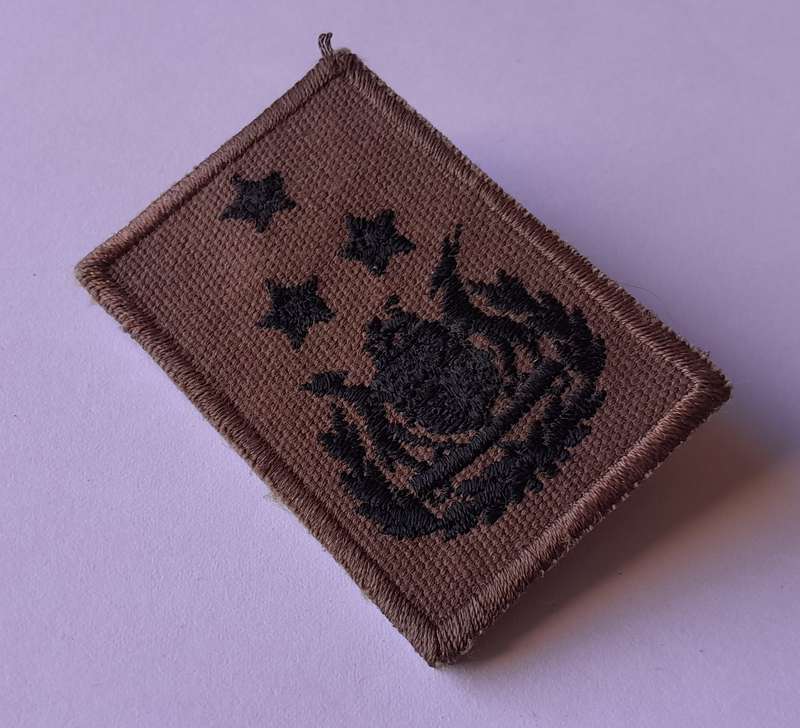 SADF Chief Warrant Officer Rank Badge.