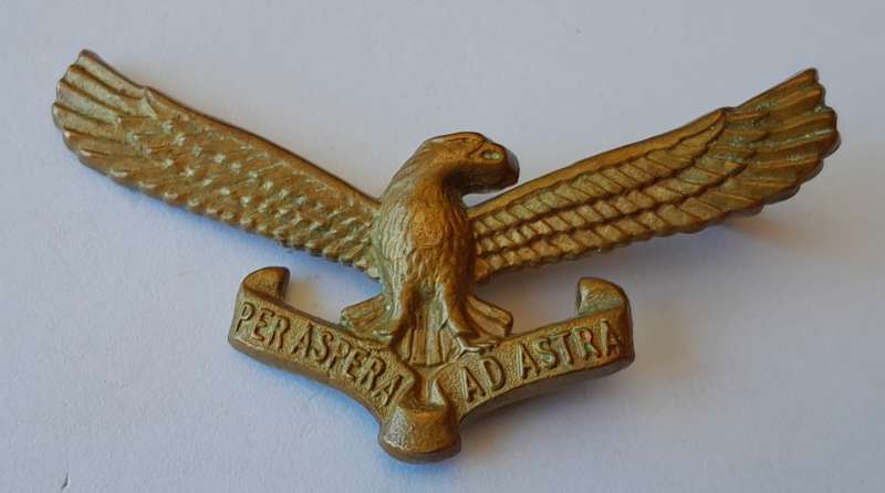 Early SA Air Force Cap Badge.  1 Lug Intact.