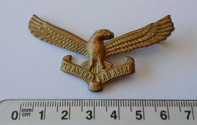 Early SA Air Force Cap Badge.  1 Lug Intact.