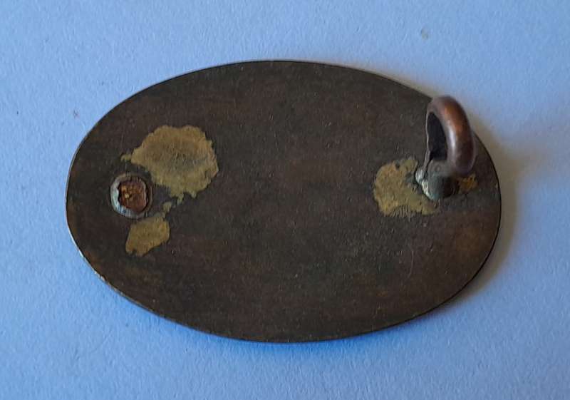 SA Essential Services Protection Corps Badge.  1 Lug Intact.