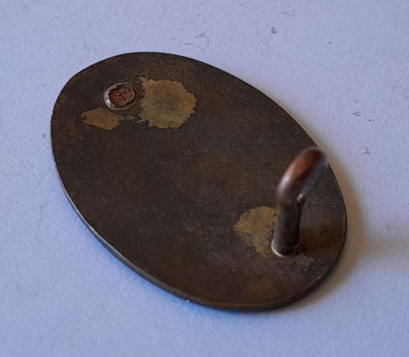 SA Essential Services Protection Corps Badge.  1 Lug Intact.