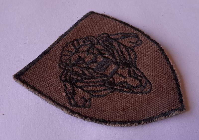 SANDF "Pride of Lions" Army Flash.