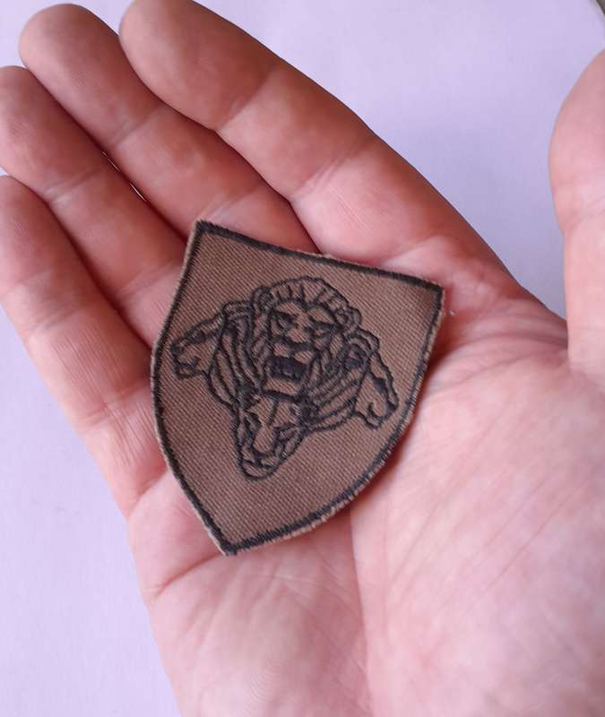 SANDF "Pride of Lions" Army Flash.