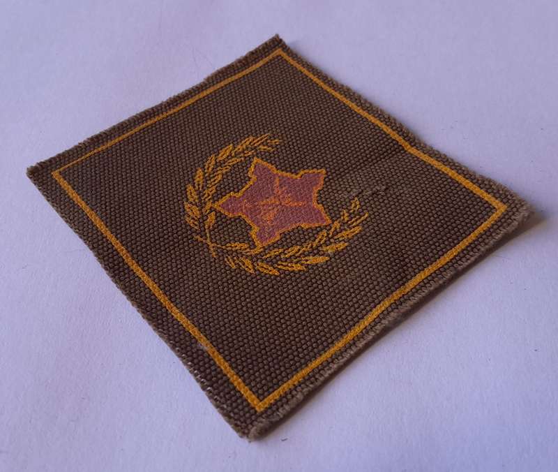 SA Army Citizens Force Volunteer Badge.