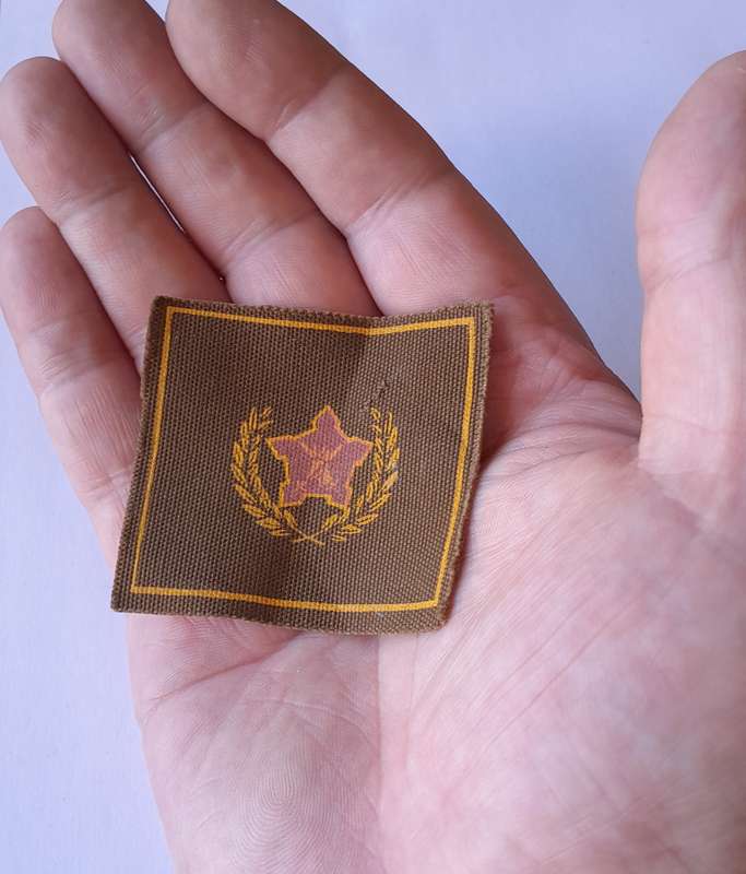 SA Army Citizens Force Volunteer Badge.