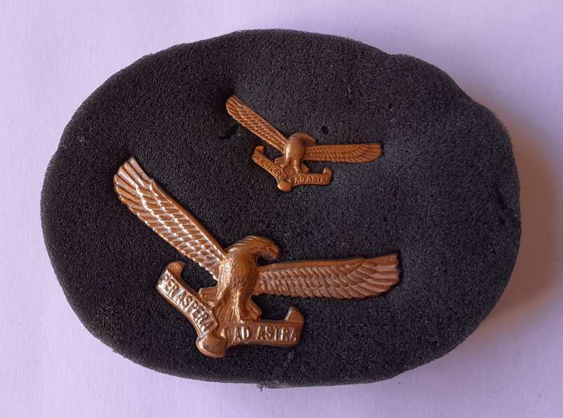 Vintage SA Airforce Badge Set.  Cap and Collar.