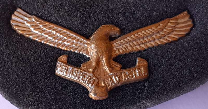Vintage SA Airforce Badge Set.  Cap and Collar.