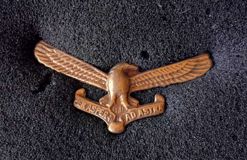 Vintage SA Airforce Badge Set.  Cap and Collar.
