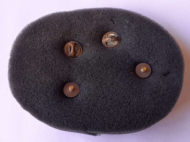 Vintage SA Airforce Badge Set.  Cap and Collar.