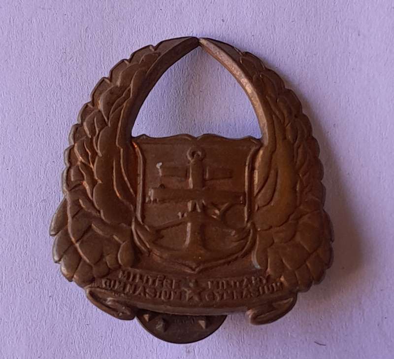 SADF Gymnasium Collar Badge.  Pin Intact.
