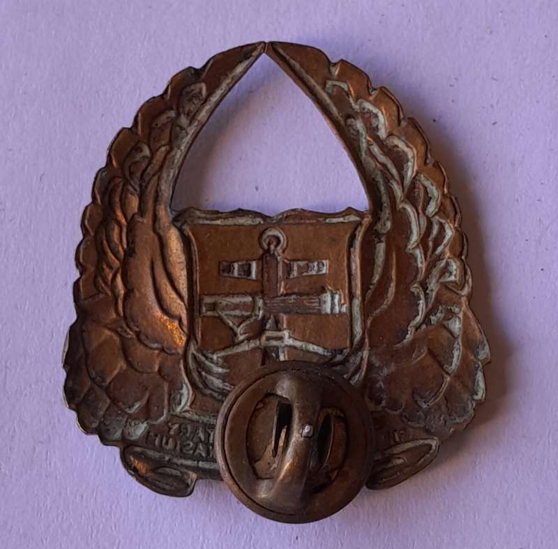 SADF Gymnasium Collar Badge.  Pin Intact.