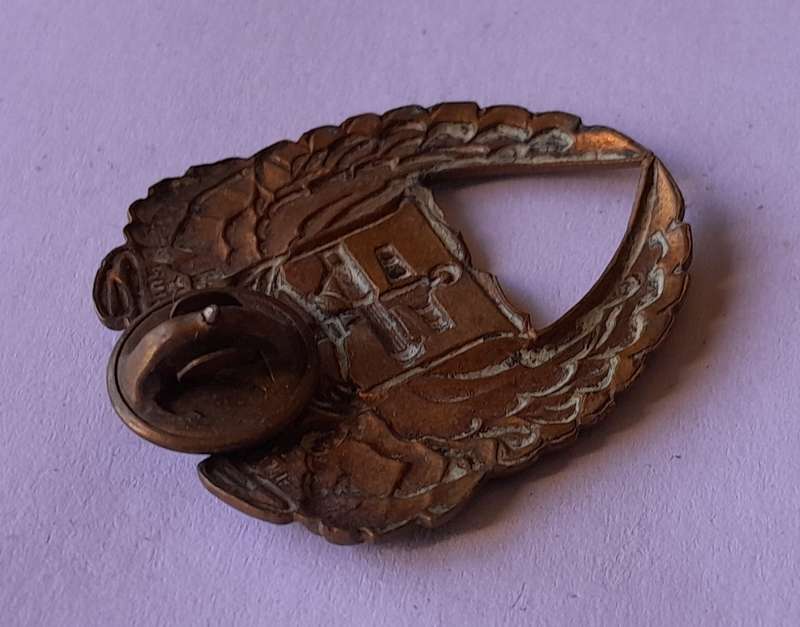 SADF Gymnasium Collar Badge.  Pin Intact.