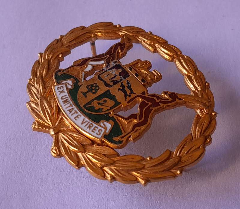 Early SA Police Warrant Officer's Rank Badge.  Pins Intact.