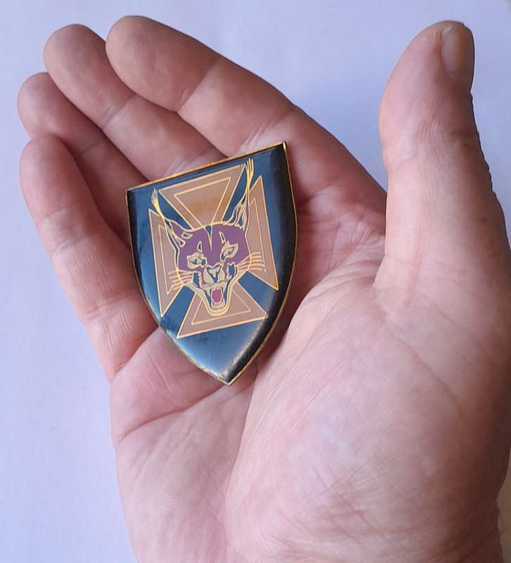 SADF 7 SAI (Infantry) Shoulder Flash.  All Pins Intact.